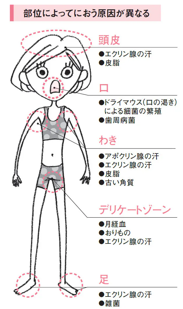 汗と皮脂が体臭のもと 疲れはニオイを強くする Nikkei Style