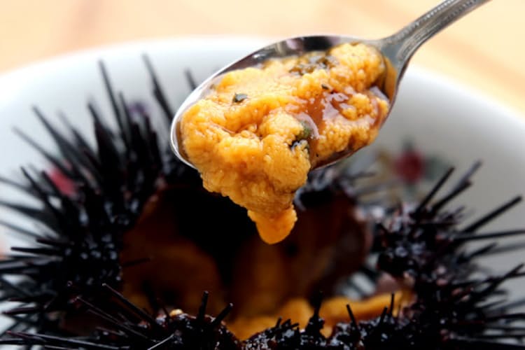 海女のとりたて 海の味 久慈のウニ 卵とじ丼も Nikkei Style 海女のとりたて 海の味 久慈のウニ 卵とじ丼も Nikkei Style