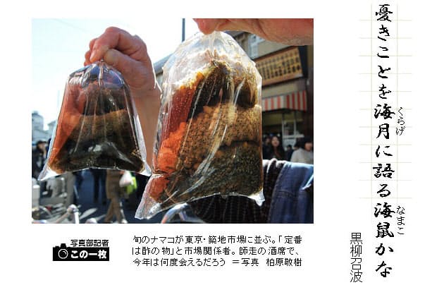 冬の海産季語 俳句一口講座 海鼠 Nikkei Style 冬の海産季語 俳句一口講座 海鼠 Nikkei Style