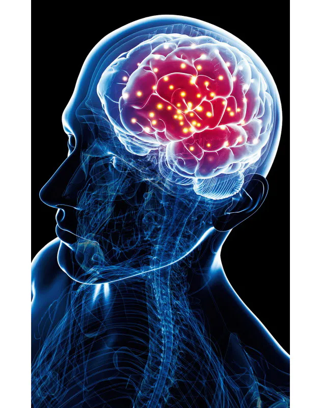 幽霊の存在を実験で再現 科学的に説明 臨死体験で見る世界 背後に立つ幽霊 Nikkei Style
