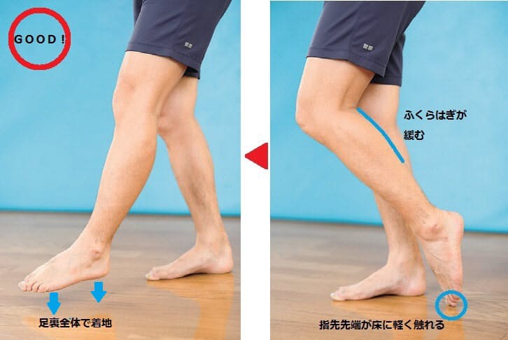 腰痛 膝痛持ちでも痛くない 疲れない歩き方の極意 Nikkei Style 腰痛 膝痛持ちでも痛くない 疲れない歩き方の極意 Nikkei Style