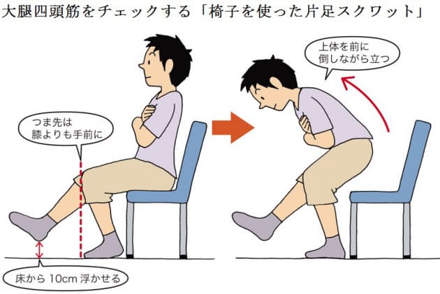 将来 寝たきり の分かれ目はこの筋肉 足腰力 の要 衰えると膝痛になりやすい Nikkei Style
