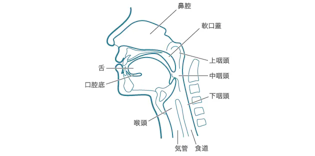 会話が成立しなくても 意思疎通はできる 治療後の飲み込みづらさ 話しにくさは Nikkei Style