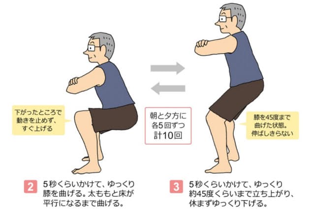 中性脂肪減らす運動 お勧めは スロースクワット Nikkei Style