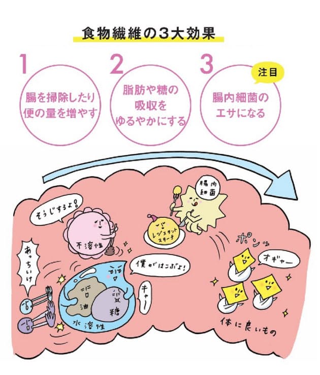 肥満や肌荒れ抑制で注目 腸が喜ぶ食物繊維のとり方 Nikkei Style 肥満や肌荒れ抑制で注目 腸が喜ぶ食物繊維のとり方 Nikkei Style