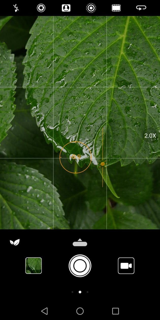 雨上がりの水滴は暗めに補正 水滴 映り込み スマホの撮影ワザで雨の日を楽しく Nikkei Style 雨上がりの水滴は暗めに補正 水滴 映り込み スマホの撮影ワザで雨の日を楽しく Nikkei Style
