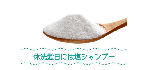 休洗髪日には 塩シャンプー か 重曹スプレー 毎日シャンプーng 塩活用 頭の Nikkei Style 休洗髪日には 塩シャンプー か 重曹スプレー 毎日シャンプーng 塩活用 頭の Nikkei Style