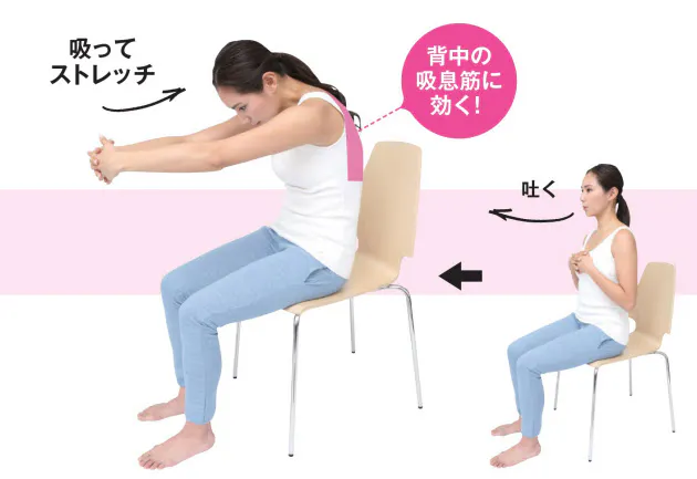 本気で呼吸筋をほぐしたいなら 部位別呼吸筋ストレッチ 若返る呼吸筋ストレッチ Nikkei Style