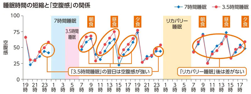 睡眠時間が短いと 活動時間が増えて体重が落ちる わけではない 睡眠時間が短いと Nikkei Style