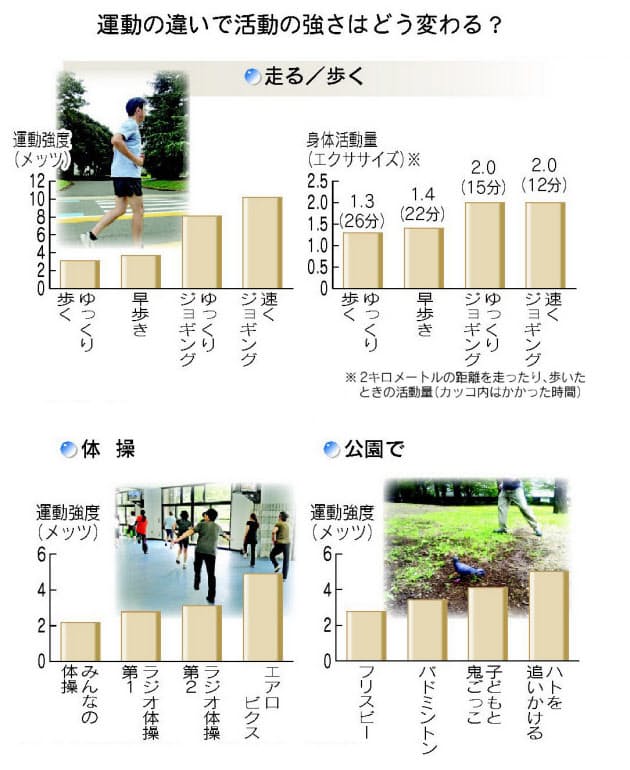 ハトとの戯れ ダイエット効果 妻と夫 運動量どっちが多い やはり家事は大変か Nikkei Style