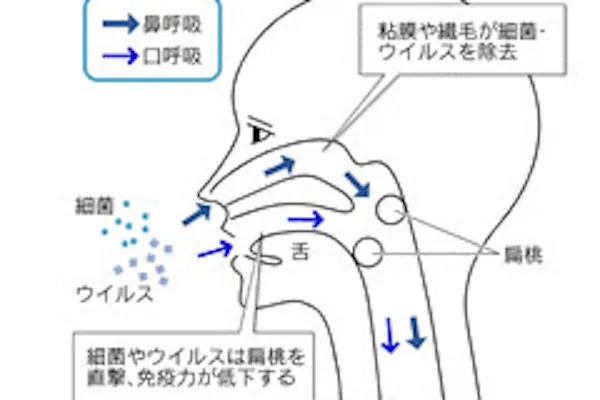 夜と雨の日は安心 は大間違い 花粉症対策のウソ Nikkei Style