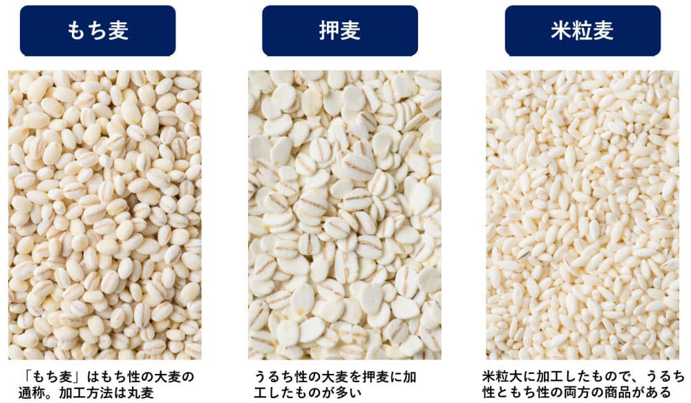 でんぷんの性質の違いと加工方法が違う 健康食として注目の大麦 もち麦と押麦っ Nikkei Style でんぷんの性質の違いと加工方法が違う 健康食として注目の大麦 もち麦と押麦っ Nikkei Style
