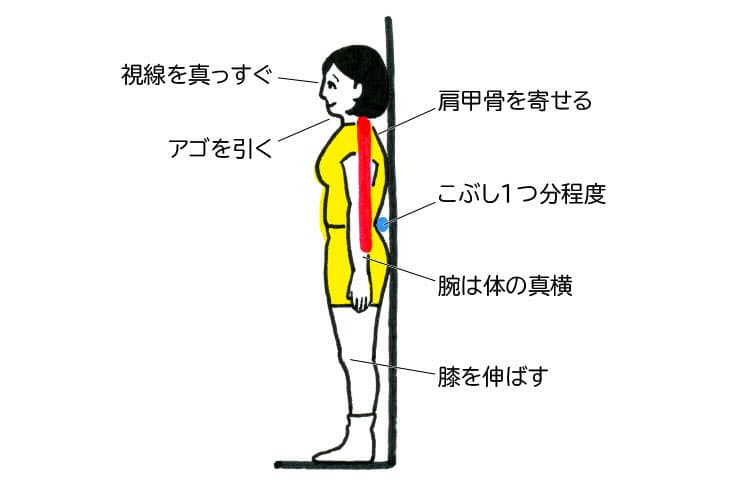 女性に多いのは そり腰 男性は 猫背 その腰痛 肩こり 膝痛 悪い歩き方 Nikkei Style 女性に多いのは そり腰 男性は 猫背 その腰痛 肩こり 膝痛 悪い歩き方 Nikkei Style
