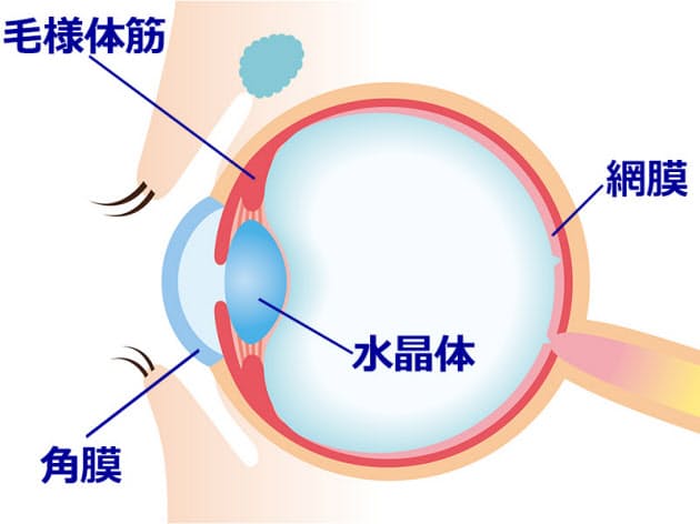 ちゃんと寝たのに目が疲れる それは 眼精疲労 目の疲労度10問で点検 眠って Nikkei Style ちゃんと寝たのに目が疲れる それは 眼精疲労 目の疲労度10問で点検 眠って Nikkei Style