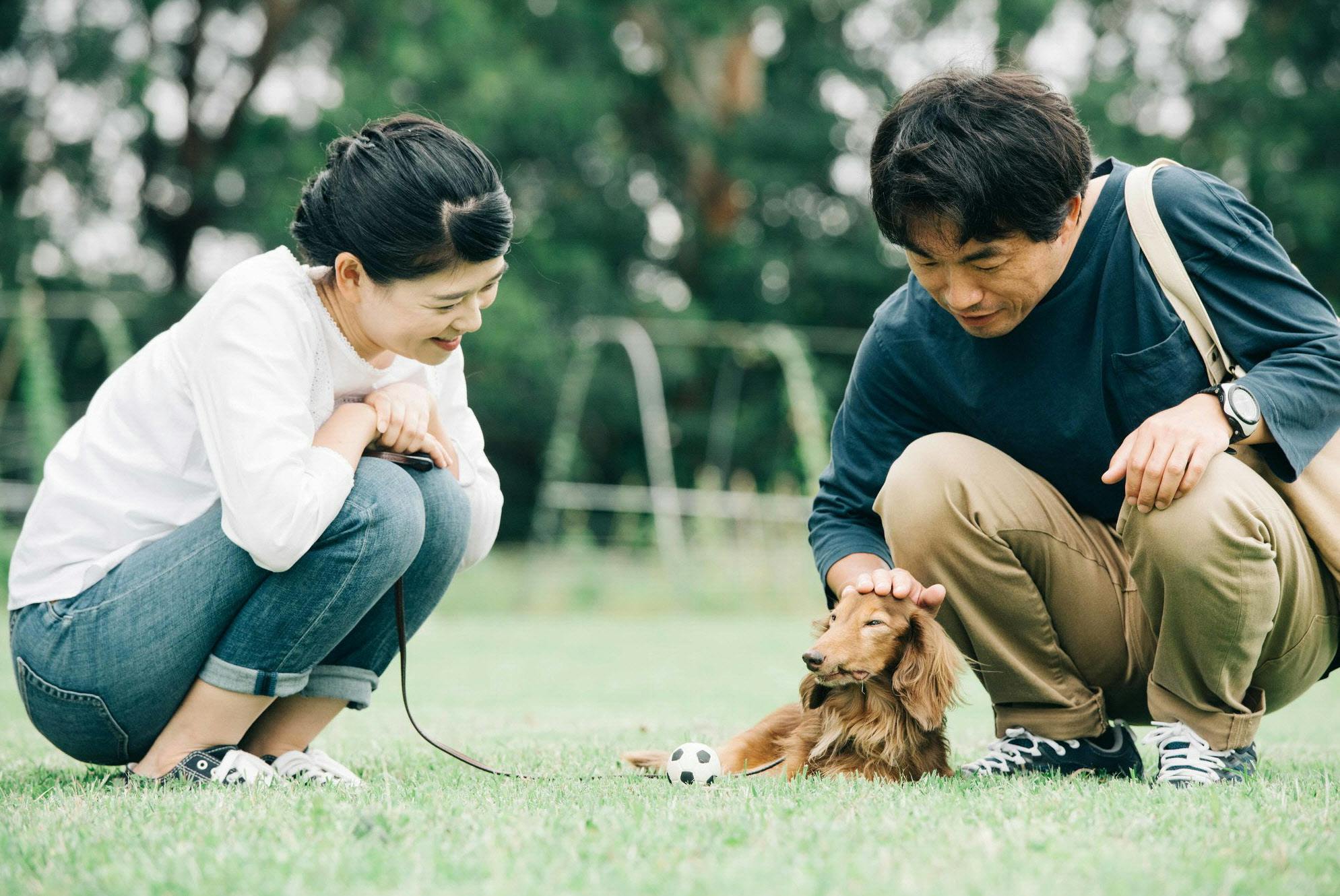 おしゃべりを拒む男性飼い主の心理 初対面で効く会話術 相手見ない 犬の散歩式 Nikkei Style おしゃべりを拒む男性飼い主の心理 初対面で効く会話術 相手見ない 犬の散歩式 Nikkei Style