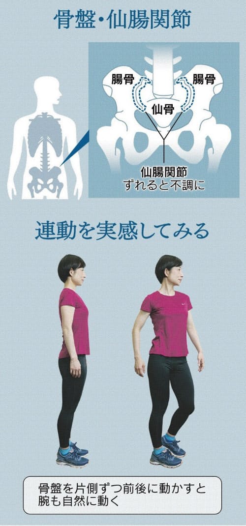 夏休み前に骨盤ほぐし体操 腰にキレ 動きやすい体に Nikkei Style 夏休み前に骨盤ほぐし体操 腰にキレ 動きやすい体に Nikkei Style