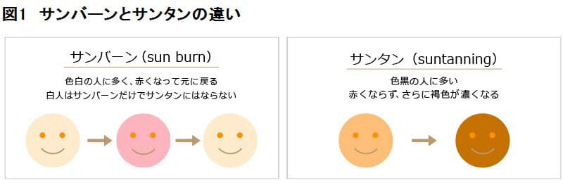あなたはどのタイプ 色黒の人ほど紫外線に強い 日焼けのダメージを受けやすいかど Nikkei Style あなたはどのタイプ 色黒の人ほど紫外線に強い 日焼けのダメージを受けやすいかど Nikkei Style