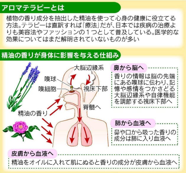 初心者向けは11の精油 アロマテラピーの基礎知識 Nikkei Style
