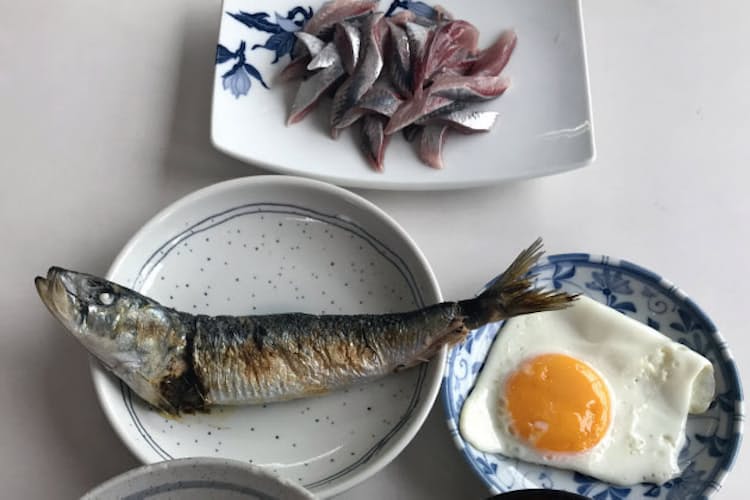 マイワシ大漁 秋の主役に 漁獲量トップ浮上の可能性 Nikkei Style マイワシ大漁 秋の主役に 漁獲量トップ浮上の可能性 Nikkei Style