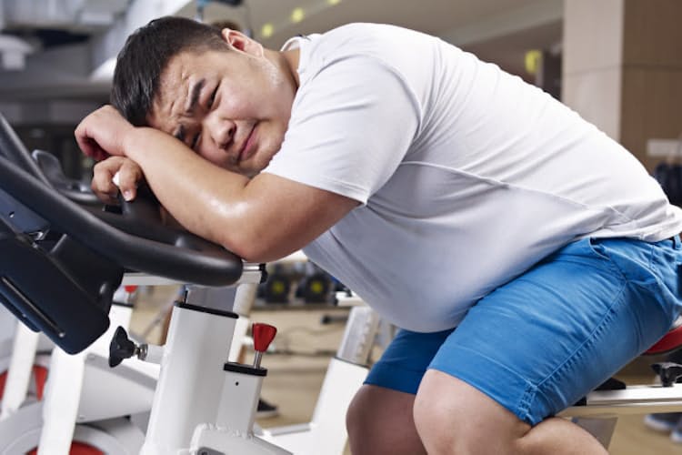 食べ過ぎたら運動 が鉄則 内臓脂肪落とす筋トレ Nikkei Style 食べ過ぎたら運動 が鉄則 内臓脂肪落とす筋トレ Nikkei Style
