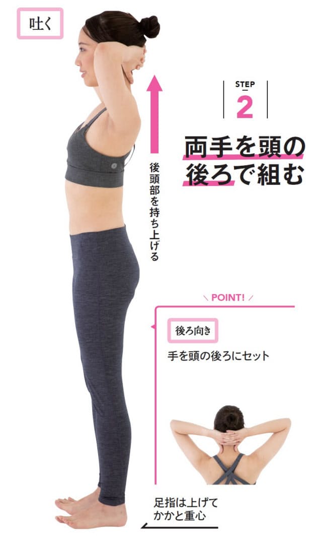 腹の筋肉を伸ばしてへこます そるだけ ダイエット Nikkei Style 腹の筋肉を伸ばしてへこます そるだけ ダイエット Nikkei Style