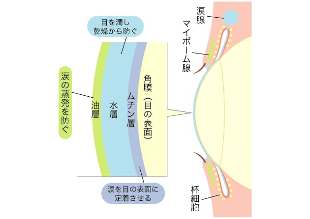 コンタクトやitによるドライアイ 点眼薬で角膜守る Nikkei Style