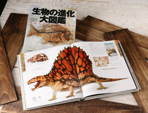 まるで写真集 大人も読みたくなる図鑑 ベスト15 Nikkei Style まるで写真集 大人も読みたくなる図鑑 ベスト15 Nikkei Style
