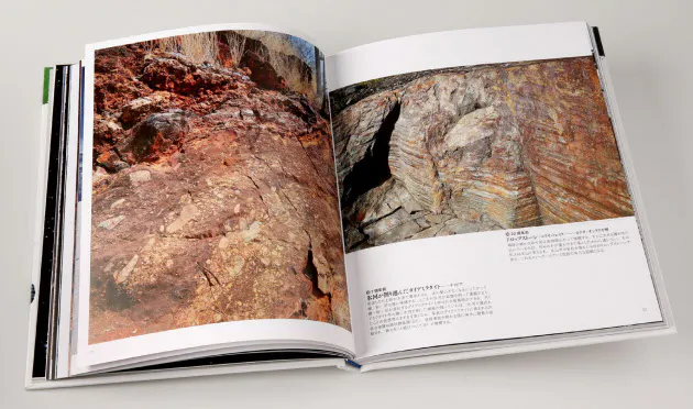 まるで写真集 大人も読みたくなる図鑑 ベスト15 Nikkei Style まるで写真集 大人も読みたくなる図鑑 ベスト15 Nikkei Style