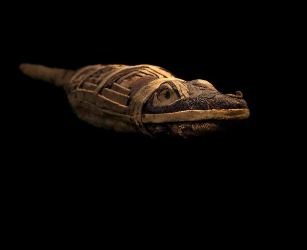 あの十二支たちも 古代エジプトの意外な動物ミイラ Nikkei Style あの十二支たちも 古代エジプトの意外な動物ミイラ Nikkei Style