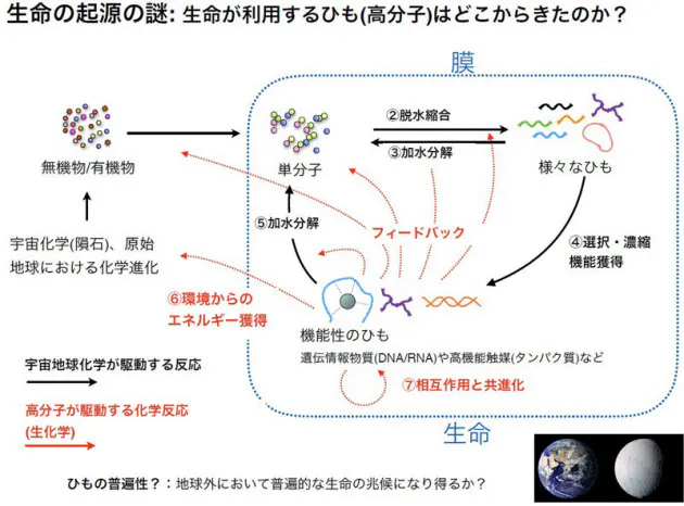 地球の生命 始まりは 2つの紐 宇宙生物学が迫る Nikkei Style