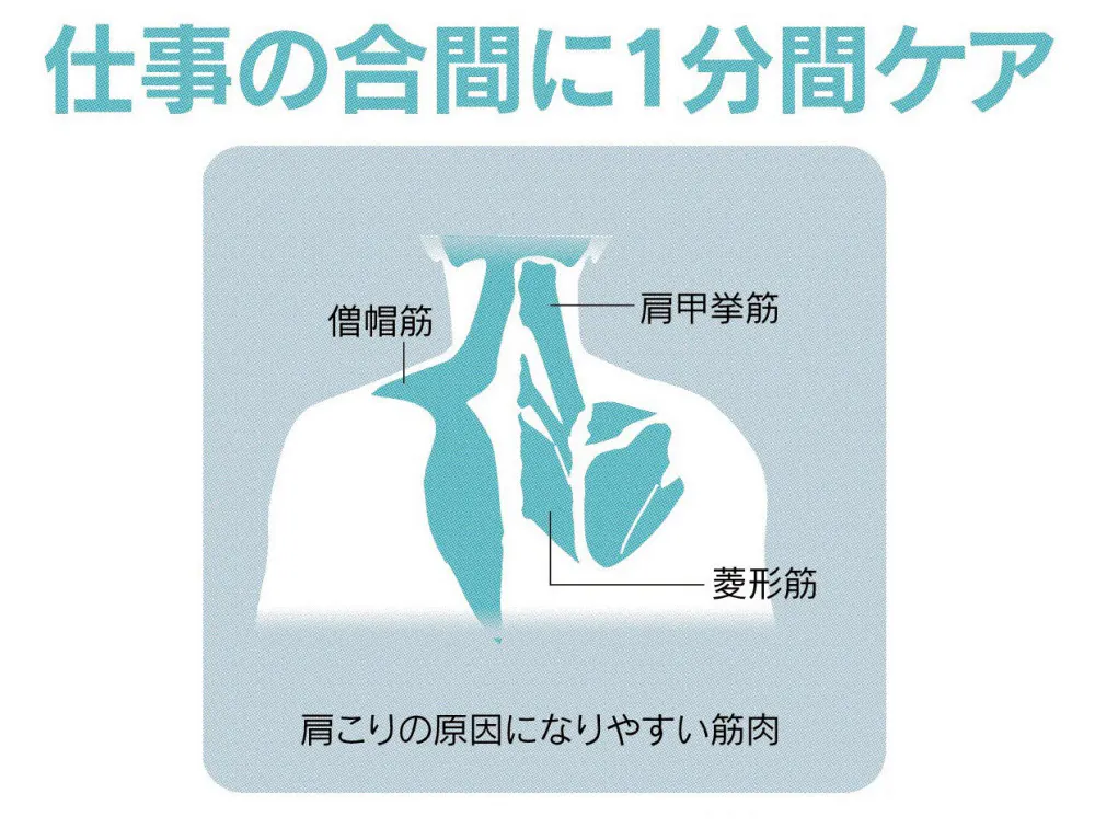 寒い季節の肩こりに1分間体操 仕事中でも血行を促進 Nikkei Style