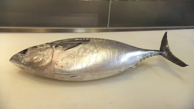 全身トロのような幻の魚 愛媛県で養殖 媛スマ Nikkei Style 全身トロのような幻の魚 愛媛県で養殖 媛スマ Nikkei Style