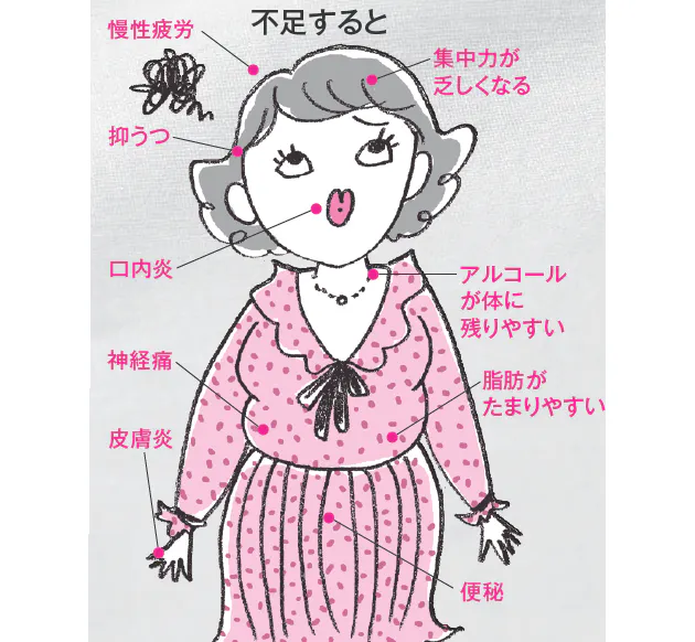 エネルギー作りに欠かせない ビタミンb群v B やせない原因 実は4つの栄養不足 Nikkei Style