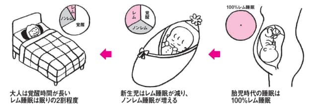 赤ちゃんのレム睡眠は脳を育てている 寝る子は育つ は本当 大人より活発な赤ち Nikkei Style 赤ちゃんのレム睡眠は脳を育てている 寝る子は育つ は本当 大人より活発な赤ち Nikkei Style