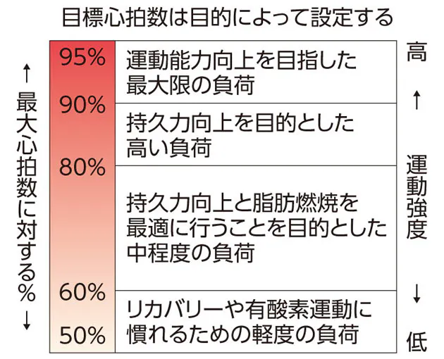 答えと解説 ウオーキングで脂肪を燃やすなら 適切な心拍数は Nikkei Style