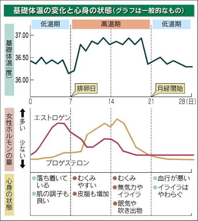 女性ホルモンを味方にしよう