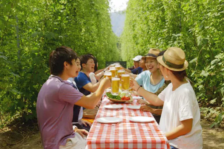 クラフトビールの新潮流 国産ホップ が人気に Nikkei Style