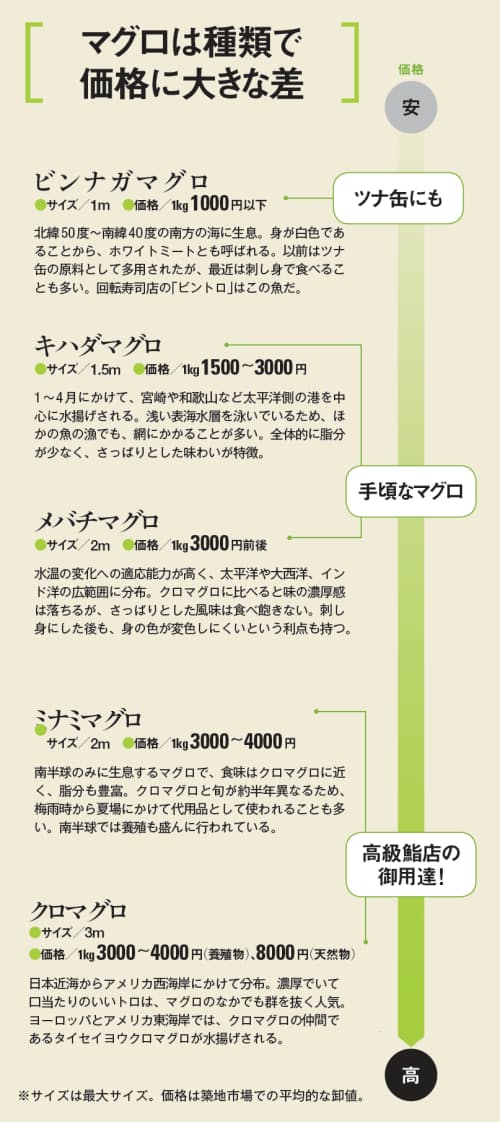 銀座 スーパー 近大 マグロの味と価格の関係 Nikkei Style 銀座 スーパー 近大 マグロの味と価格の関係 Nikkei Style