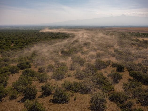 影響の程度は不明 欧米で禁止の殺虫剤 バッタ大群駆除も 残る環境不安 Nikkei Style 影響の程度は不明 欧米で禁止の殺虫剤 バッタ大群駆除も 残る環境不安 Nikkei Style