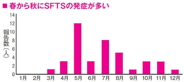 全国で発症 マダニ感染症 治療薬なく 致死率高い Nikkei Style 全国で発症 マダニ感染症 治療薬なく 致死率高い Nikkei Style