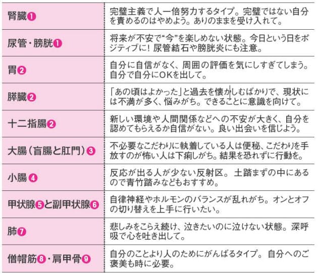 足裏からのメッセージ この部分が痛いと心はこんな状態 性格や考え方が表れる 足 Nikkei Style 足裏からのメッセージ この部分が痛いと心はこんな状態 性格や考え方が表れる 足 Nikkei Style