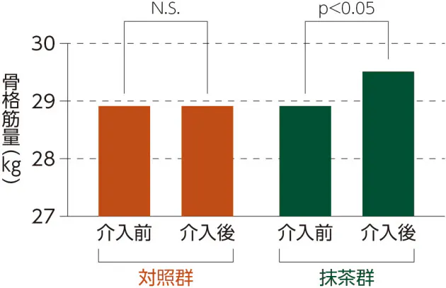 抹茶は筋肉疲労を穏やかにし 筋トレ効果を高める 抹茶は栄養豊富 カテキンは緑茶 Nikkei Style