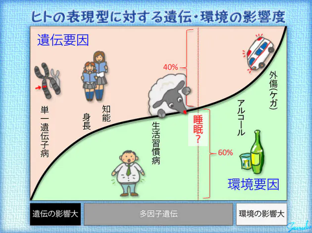 遺伝率は0 5 ってこれはどういう意味 遺伝と環境 睡眠時間の長さを決めるのはど Nikkei Style