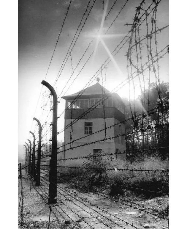 なぜ人は残虐な行為と知りながら従ってしまうのか Nikkei Style