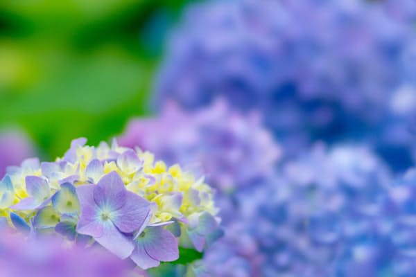 電車の遅延で会社に遅刻 賃金カットもあり得る Nikkei Style