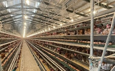 鳥インフルエンザ