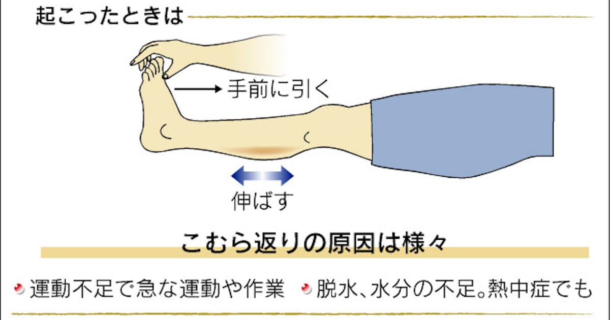 こむら返り よく起こる人ご用心 日本経済新聞 こむら返り よく起こる人ご用心 日本経済新聞