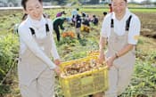 収穫した生姜を運ぶ新海さん(左)と矢島さん（千葉県山武市）