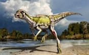 新種の小型草食恐竜「アルバータドロメウス」の想像図