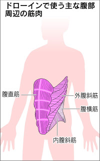 ぽっこりお腹へこませ運動 ドローイン 日本経済新聞 ぽっこりお腹へこませ運動 ドローイン 日本経済新聞